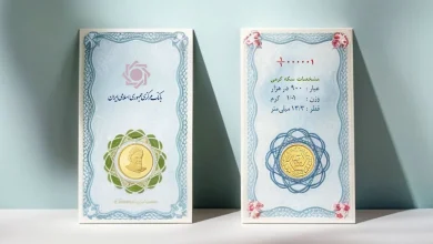 منظور از سکه گرمی چیست؟ آیا برای سرمایه گذاری مناسب است؟