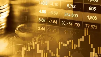 بهترین سرماه گذاری با 50 میلیون
