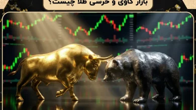 بازار گاوی و خرسی طلا چیست؟ | بررسی صفر تا صد